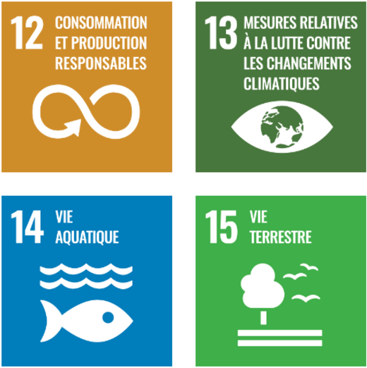 Les objectifs de développement durable