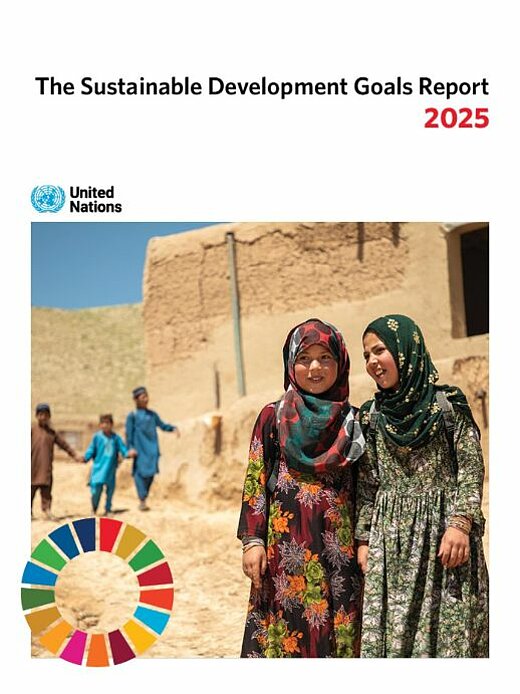 couverture-rapport-de-durabilite-onu-site-saveur-de-l-annee