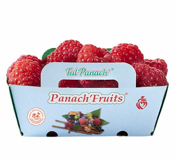 Framboise Tul'Panach' de PANACH'FRUITS