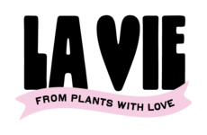 Noksi\Nkpalmares\Domain\Model\Marque:15