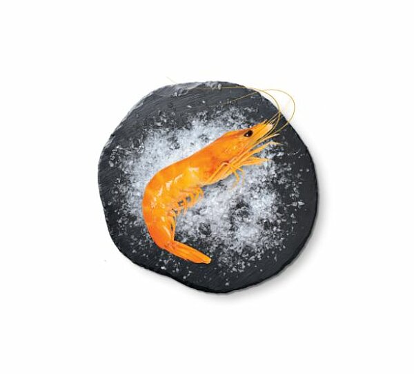 La Mada : Crevette Sauvage de Madagascar de CRUSTA C