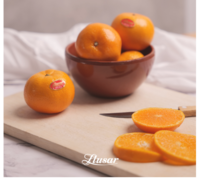 Clémentines et mandarines