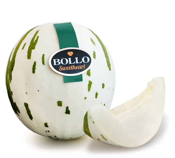 Melon Asiatique de BOLLO SWEETHEART