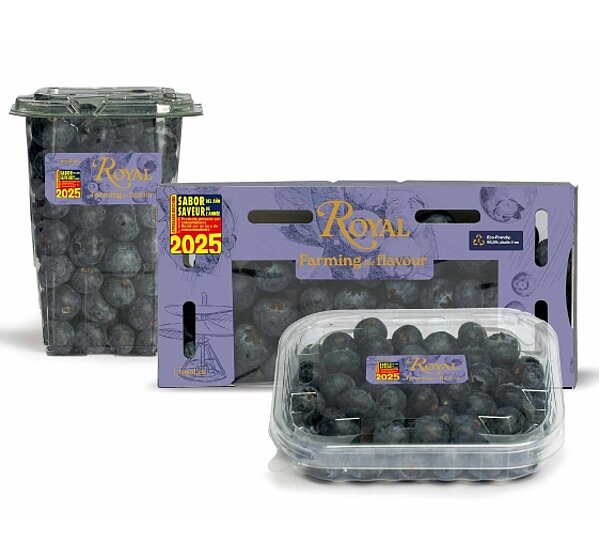 Myrtilles BluAroma® de Royal Bluaroma