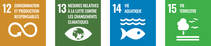 4 objectifs de développement durable