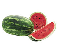 Pastèque Maroc