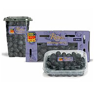 Myrtilles BluAroma®