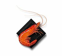 Crevette Ayaba : Joyau du Nigéria